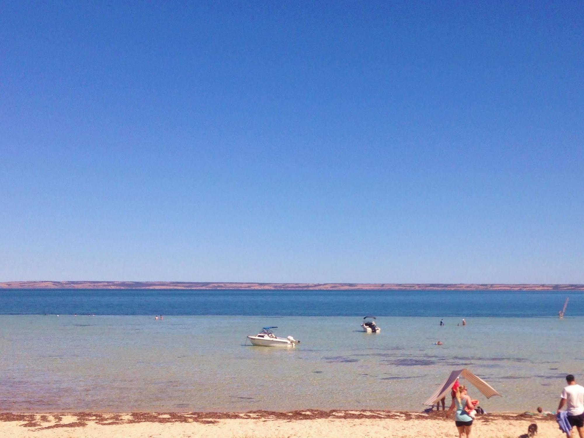 Kangaroo Island Seaside Inn 킹스콧 외부 사진